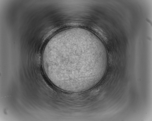 X0000096680016200802191402