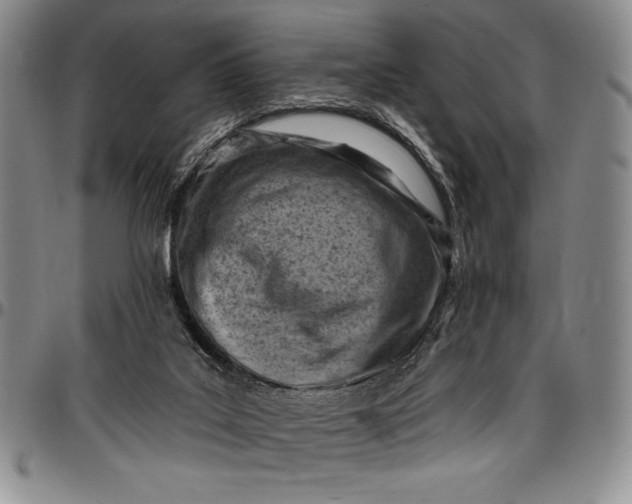 X0000096680019200802191402
