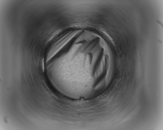 X0000096680020200802191402