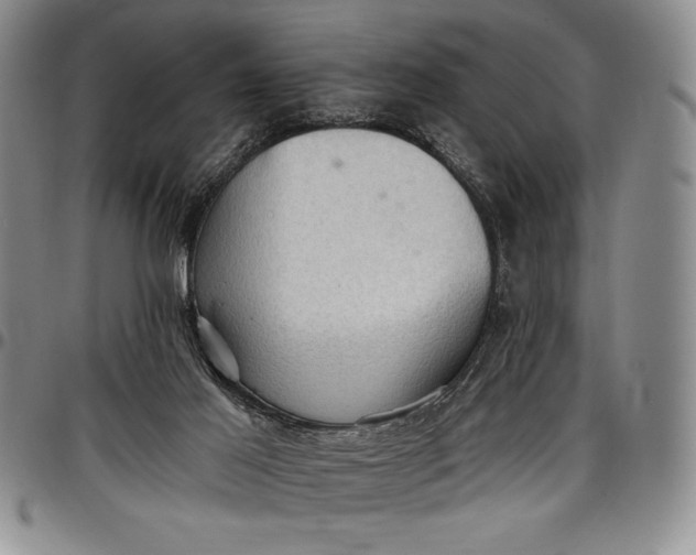 X0000096680021200802191402