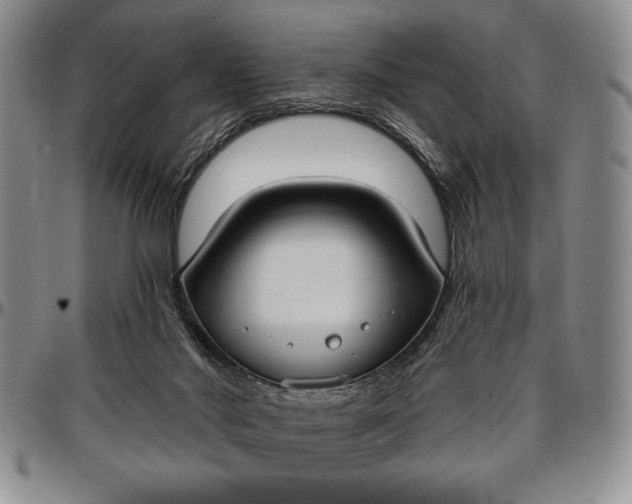 X0000096680022200802191402