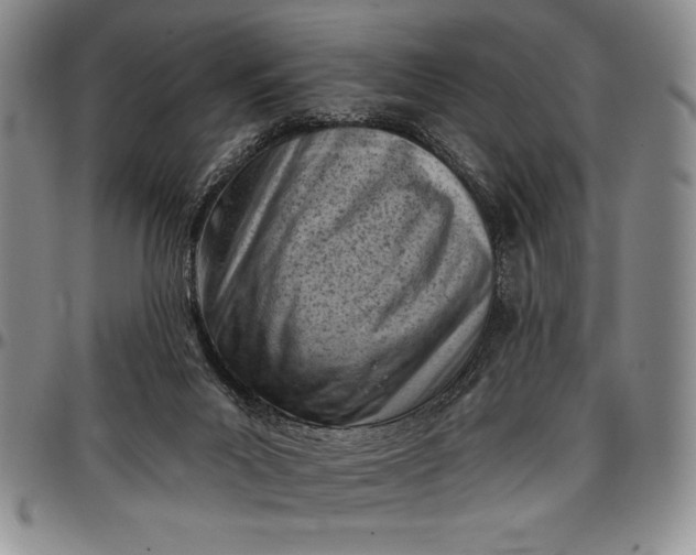 X0000096680023200802191402
