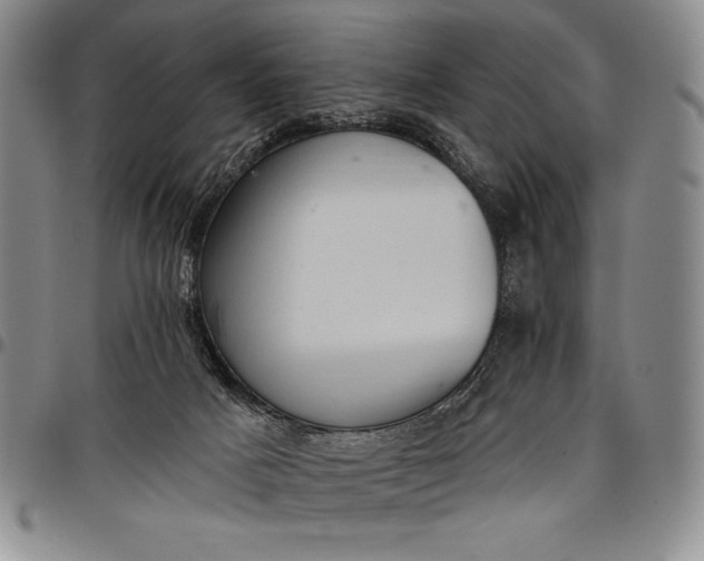 X0000096680025200802191402