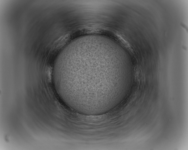 X0000096680026200802191402