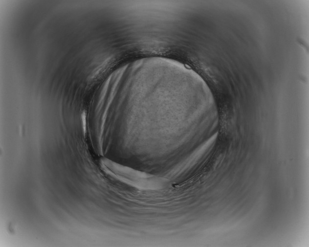 X0000096680027200802191402