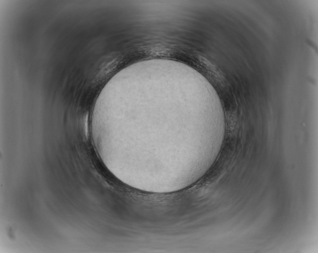 X0000096680028200802191402