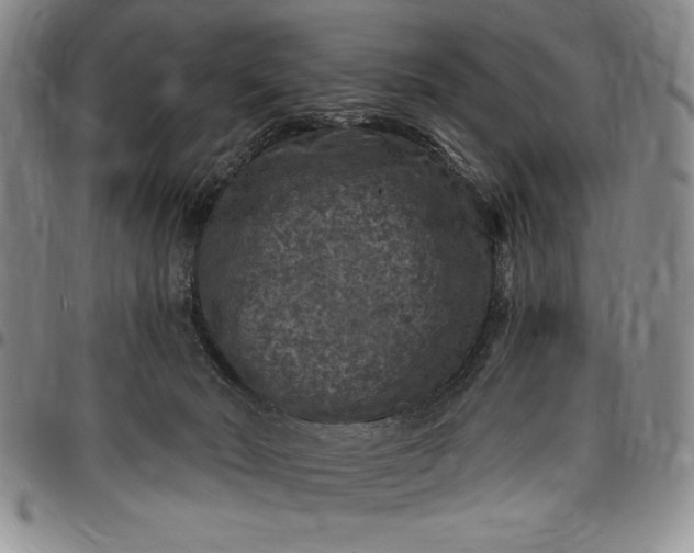 X0000096680030200802191402