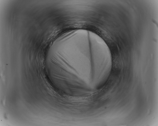 X0000096680031200802191402