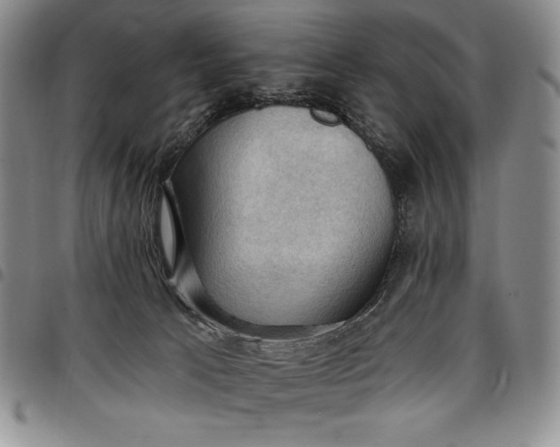 X0000096680033200802191402