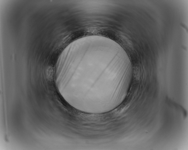 X0000096680036200802191402