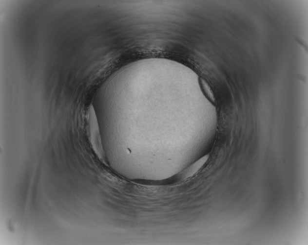 X0000096680037200802191402