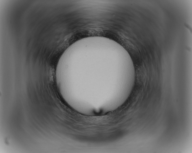 X0000096680038200802191402