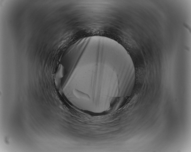X0000096680039200802191402