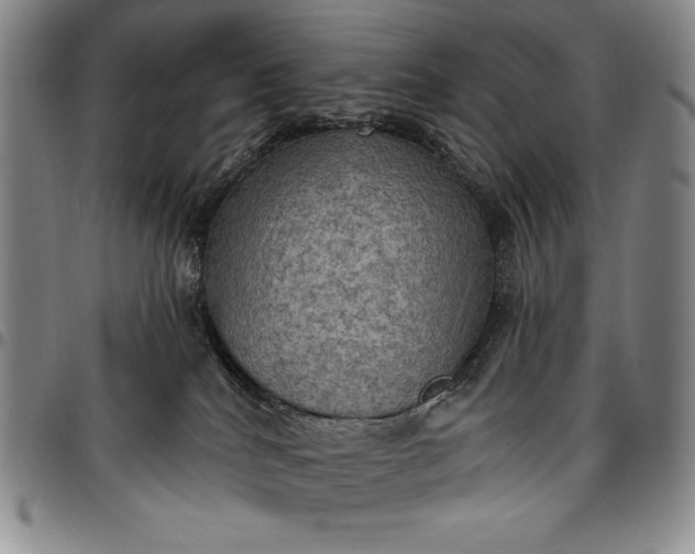 X0000096680040200802191402