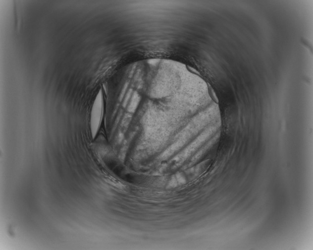 X0000096680041200802191402