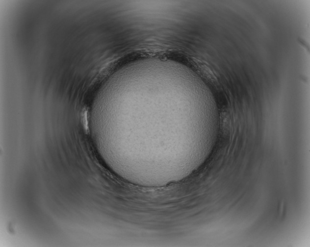 X0000096680042200802191402