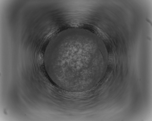 X0000096680043200802191402