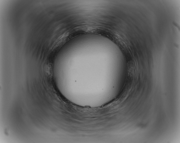 X0000096680044200802191402