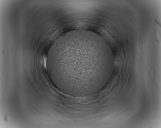 X0000096680046200802191402