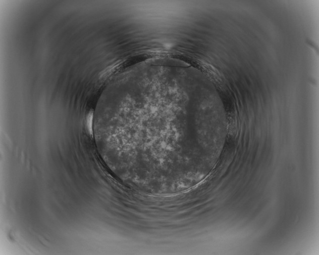 X0000096680047200802191402