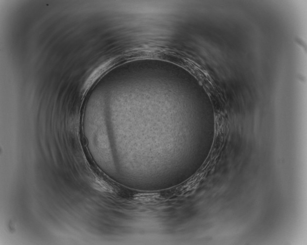 X0000096680051200802191401