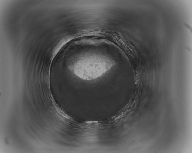 X0000096680052200802191401
