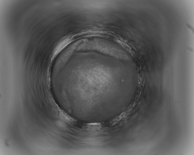 X0000096680053200802191401