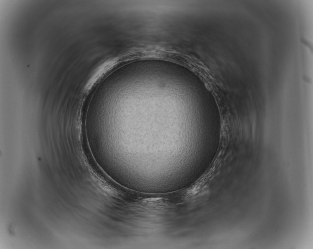 X0000096680054200802191401