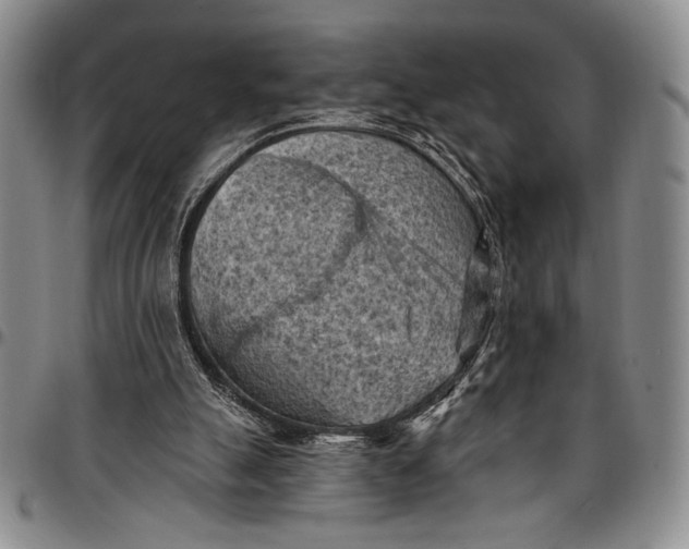 X0000096680055200802191401