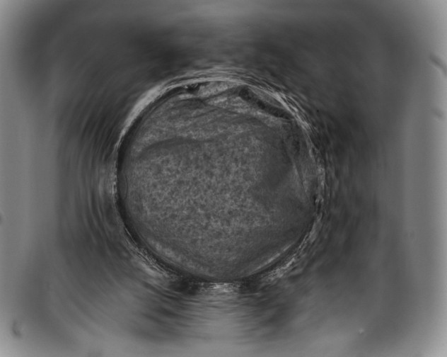 X0000096680056200802191401