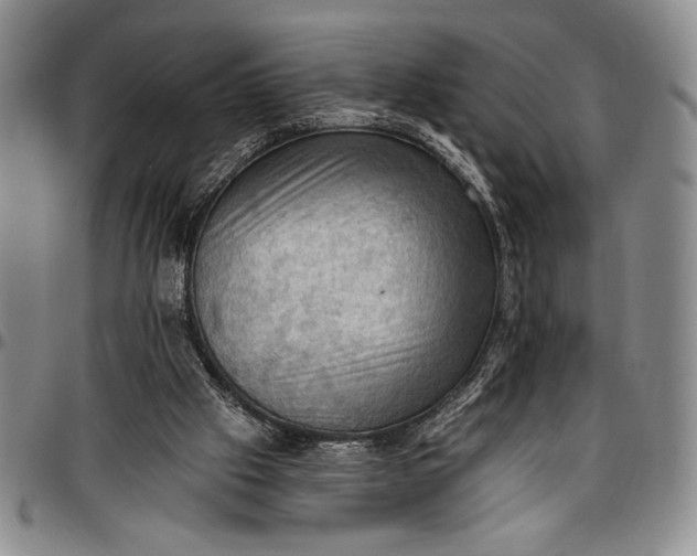 X0000096680057200802191401