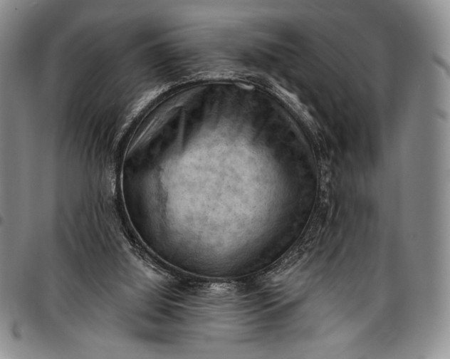 X0000096680060200802191401