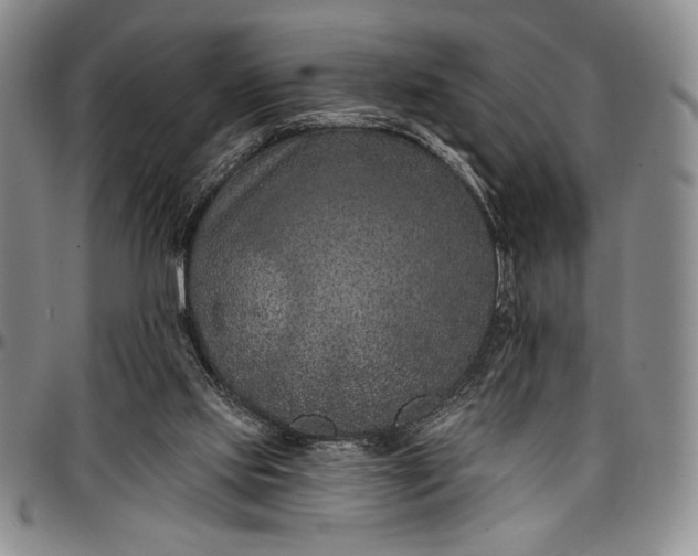 X0000096680061200802191401