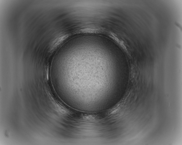 X0000096680062200802191401