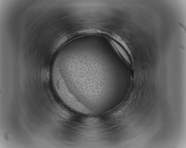 X0000096680063200802191401