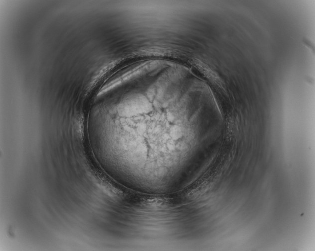 X0000096680064200802191401