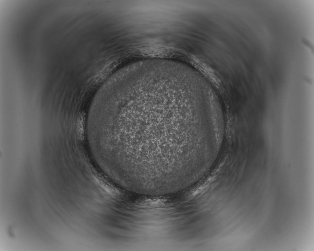 X0000096680065200802191401