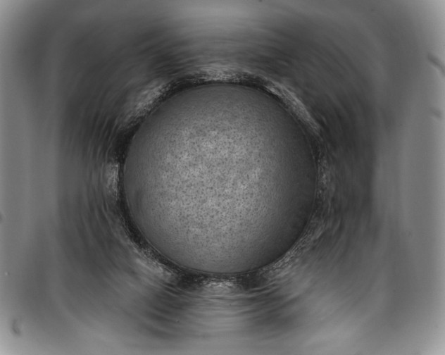 X0000096680066200802191401