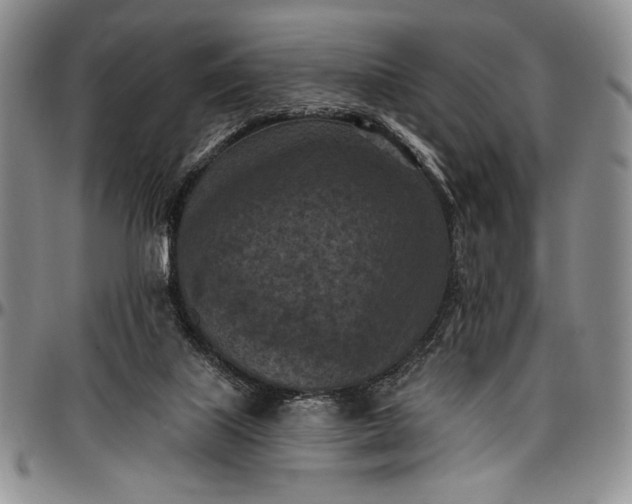 X0000096680067200802191401