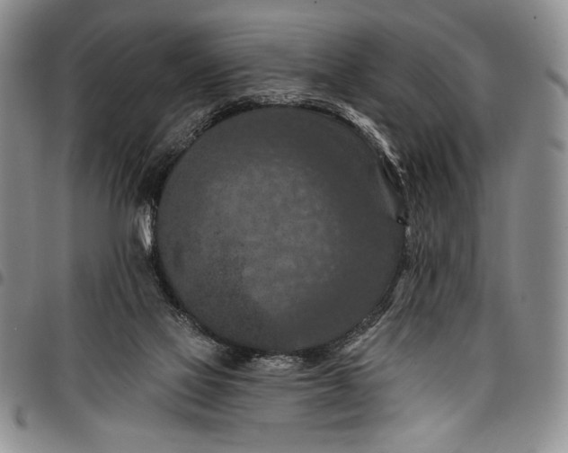 X0000096680069200802191401