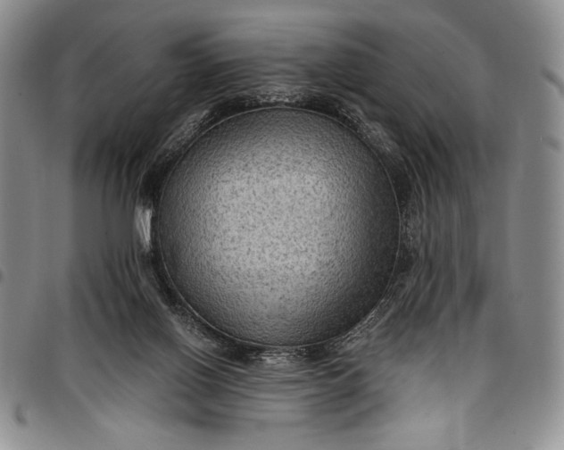 X0000096680070200802191401