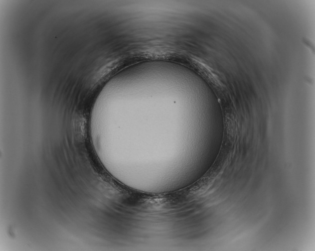 X0000096680071200802191401