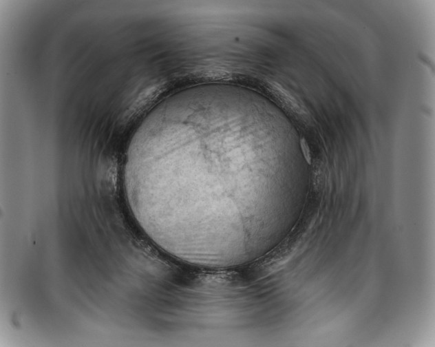 X0000096680072200802191401
