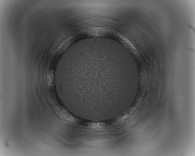 X0000096680073200802191402