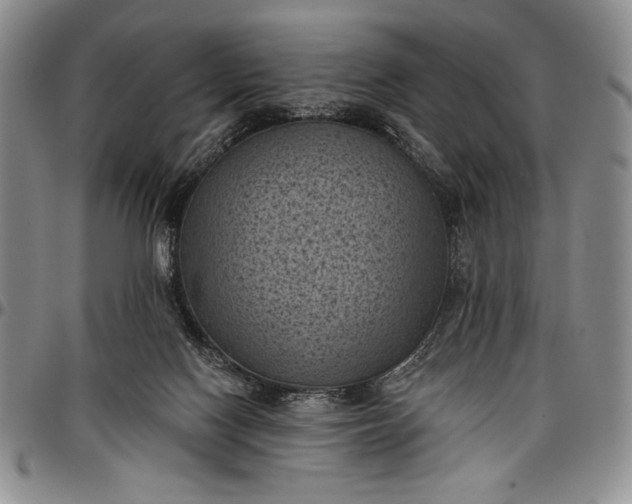 X0000096680074200802191402