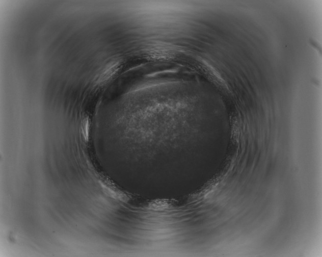 X0000096680076200802191402