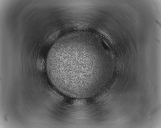 X0000096680077200802191402