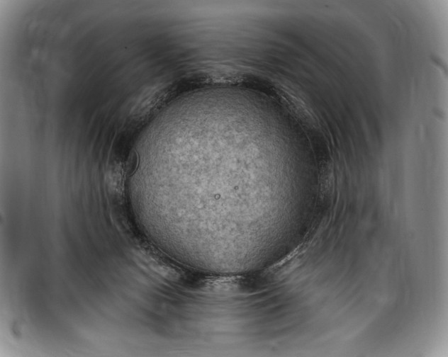 X0000096680078200802191402