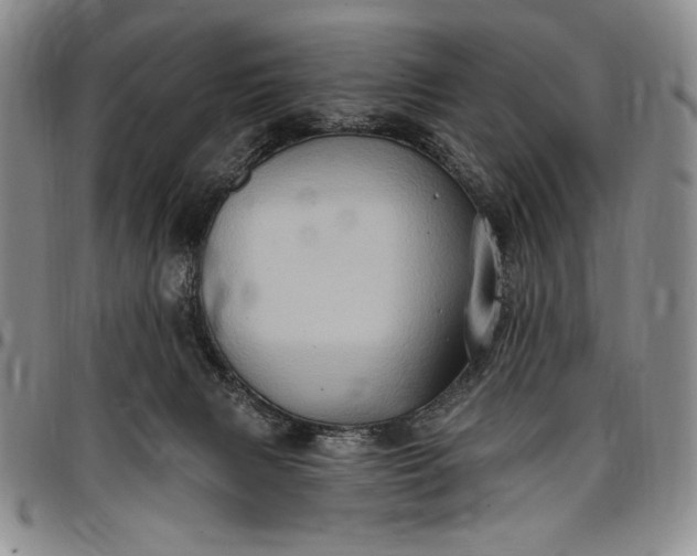 X0000096680079200802191402