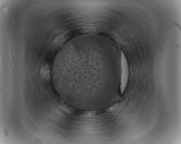 X0000096680080200802191402